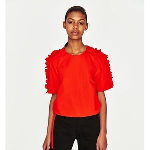 Zara Top